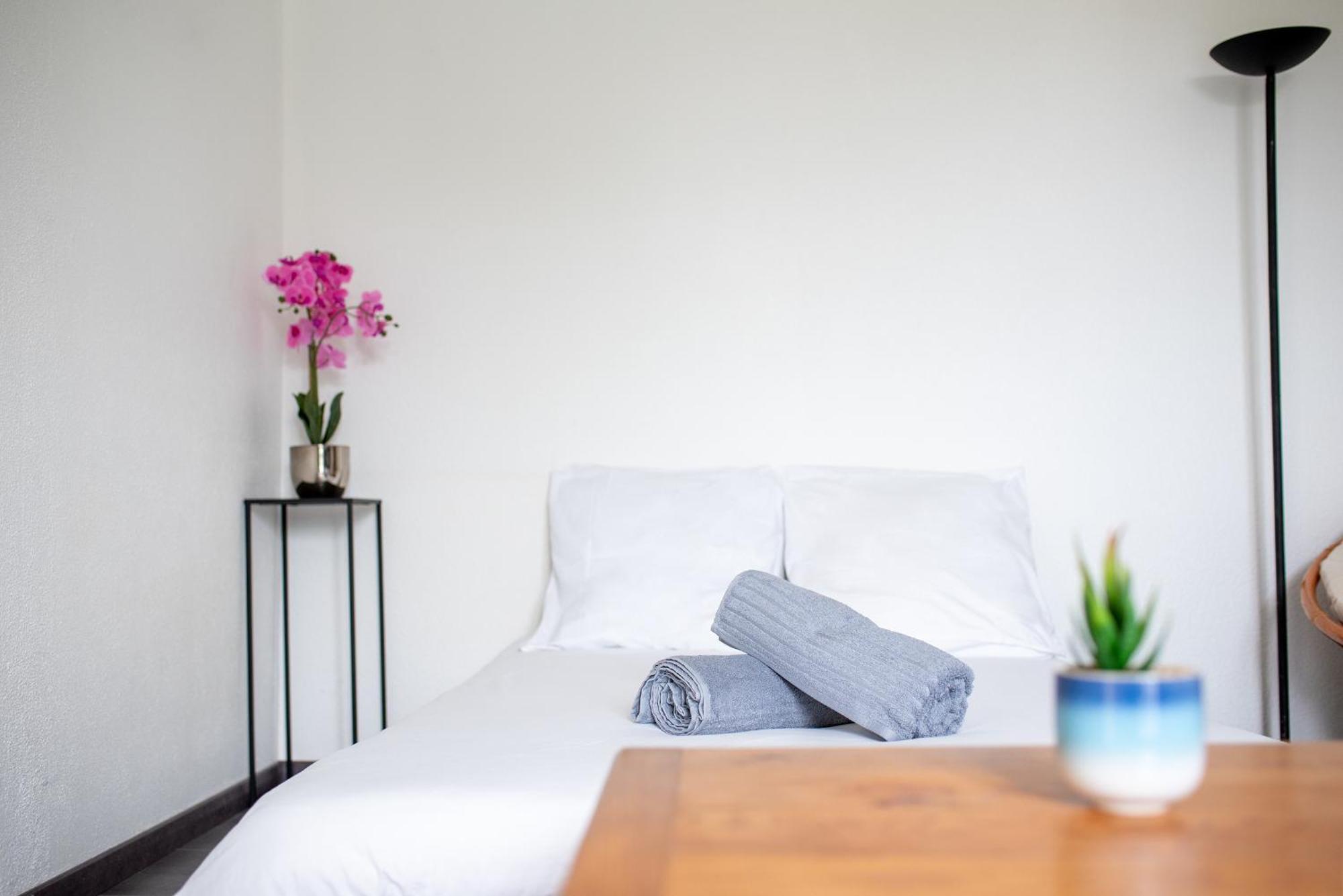 T2 Rangueil - Terrasse + 2 Parkings - 4 Personnes Apartment Toulouse Luaran gambar